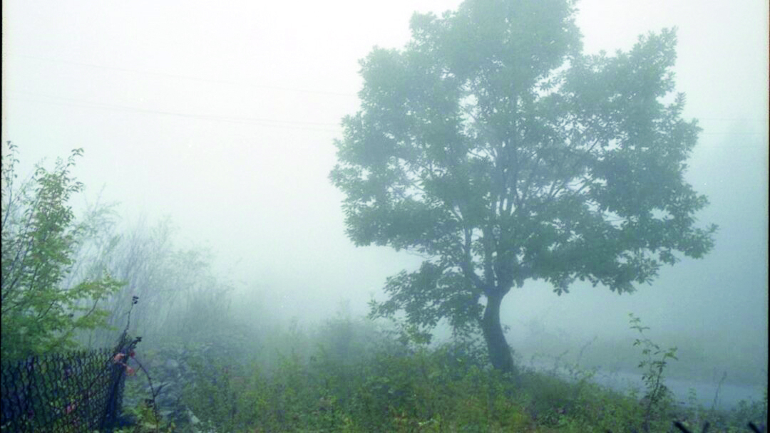 Bölgələrdə yağış, Bakıda duman - FAKTİKİ HAVA