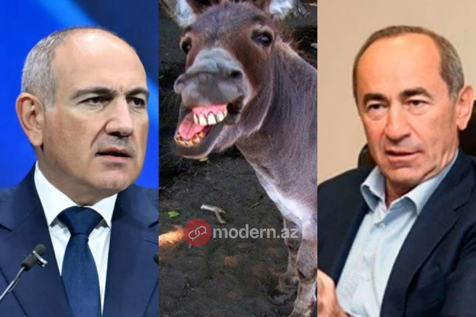 Paşinyandan Koçaryana&nbsp;təklif: Eşşək kimi anqır