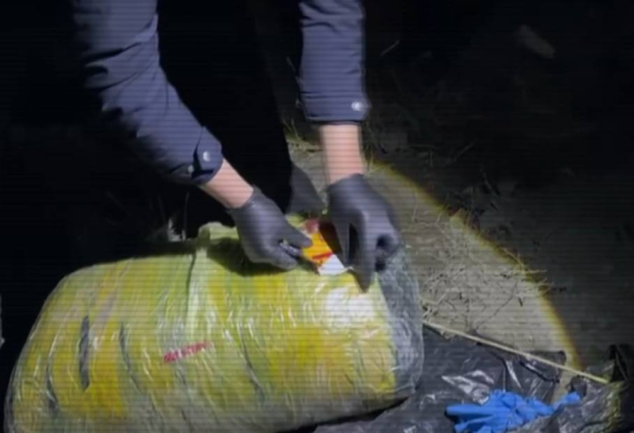 Qazaxıstanda 300 kq marixuana müsadirə edildi