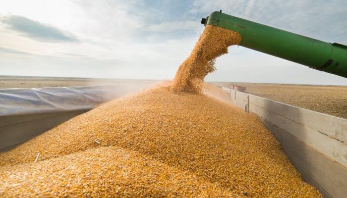 How much grain has been transported from Azerbaijan to Armenia in five months? - DISCLOSED