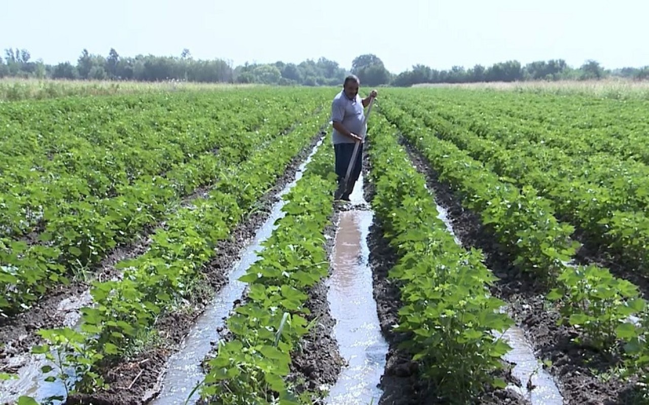 Leysan yağışlar&nbsp;2 min hektardan çox&nbsp;əkin sahəsinə zərər vur