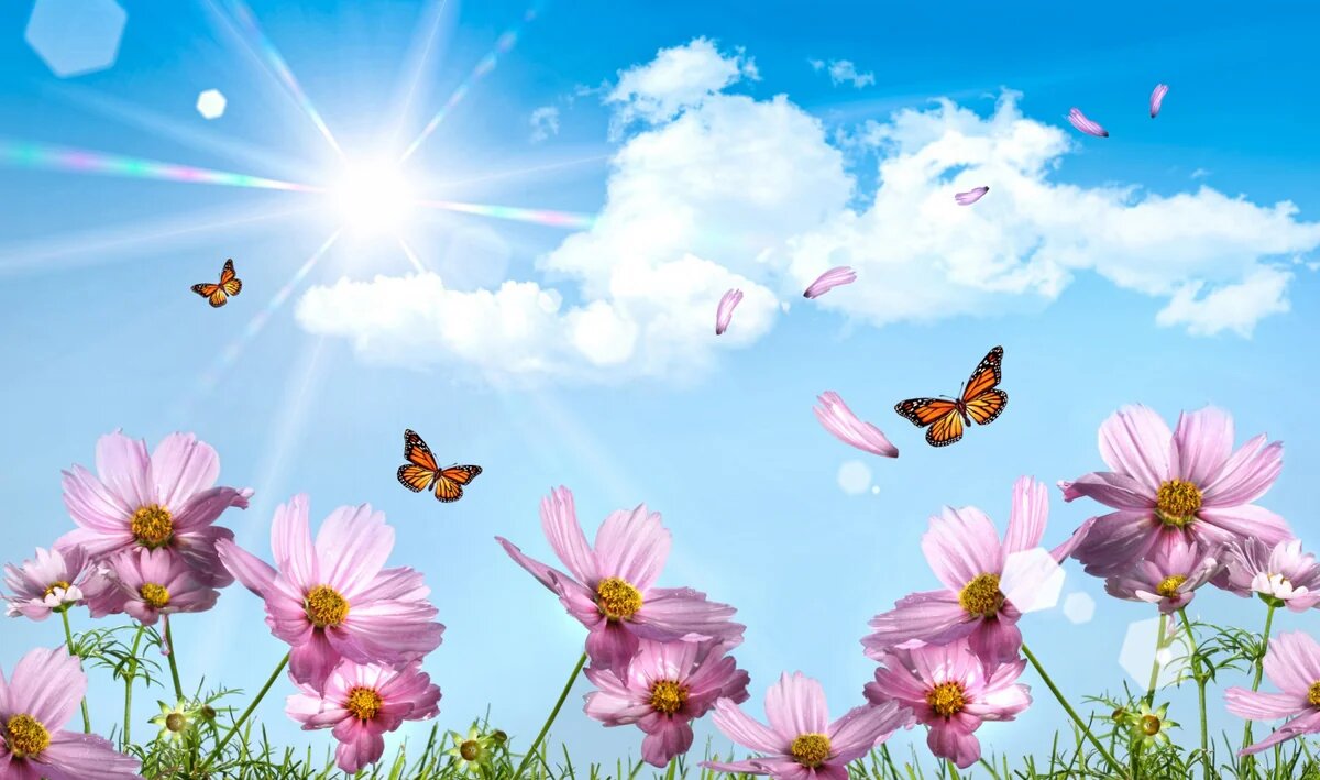 Günün hava PROQNOZU