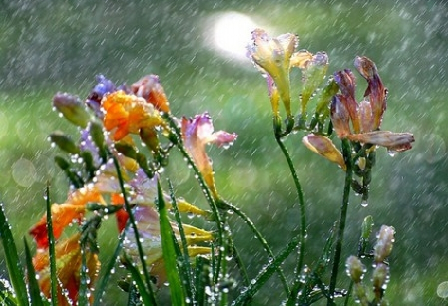 Sabahdan hava pisləşəcək - yağış, dolu, qar