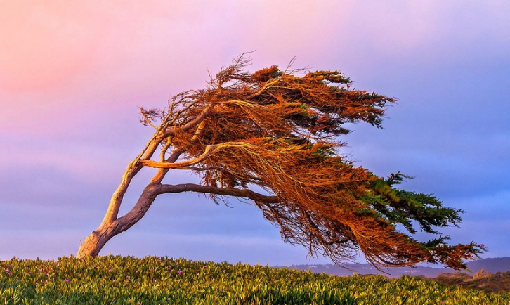 Külək güclənəcək - Sarı xəbərdarlıq