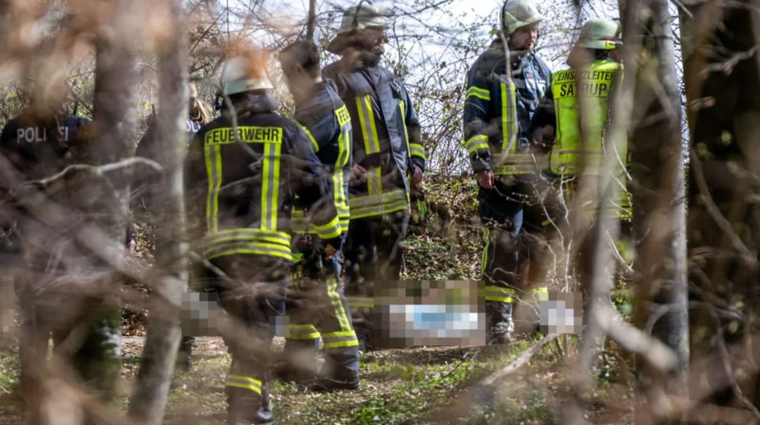 Ağac aşdı, üç nəfər öldü