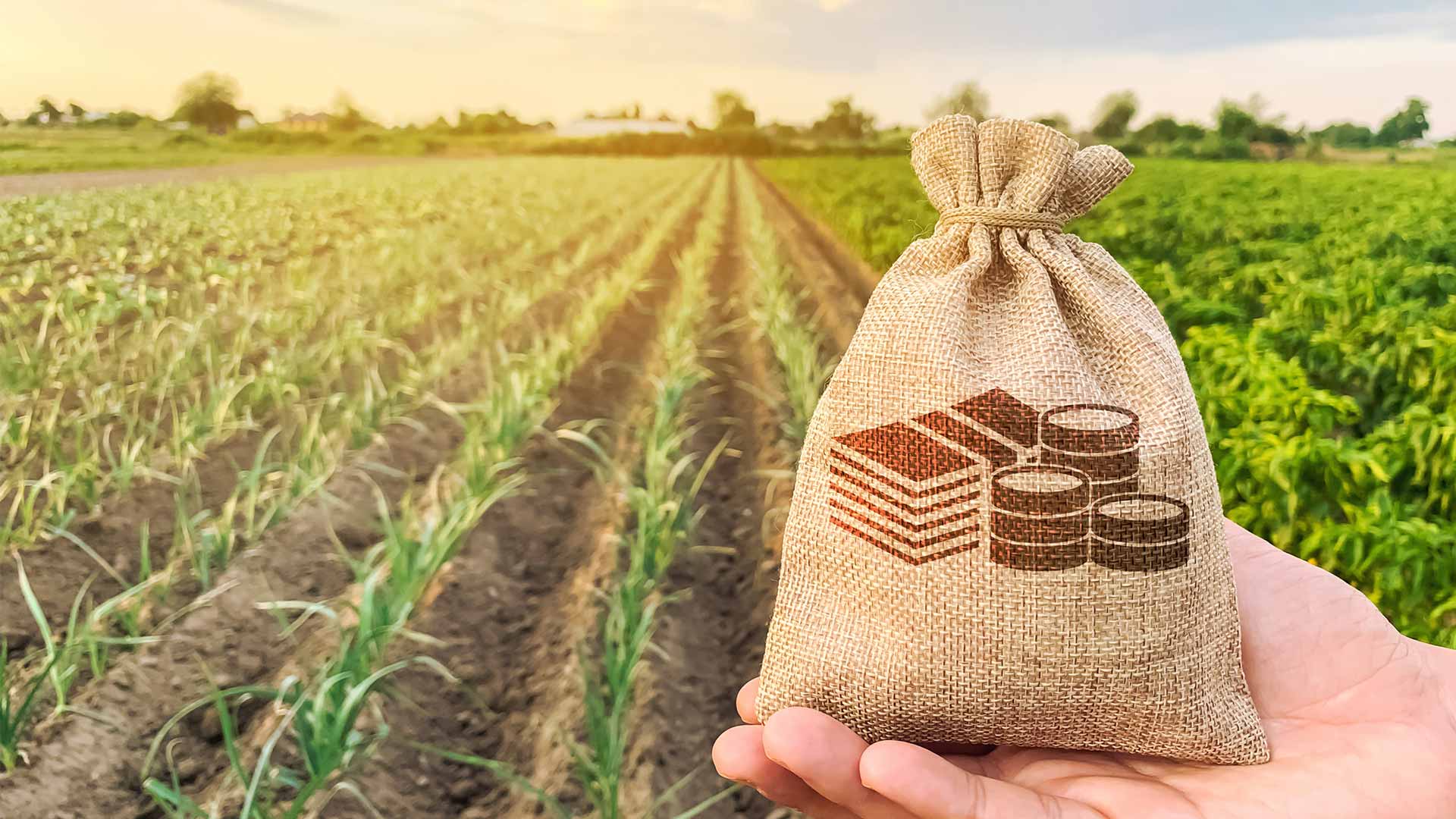 Azərbaycanda adambaşına kənd təsərrüfatı istehsalı illik 1383 manatdır