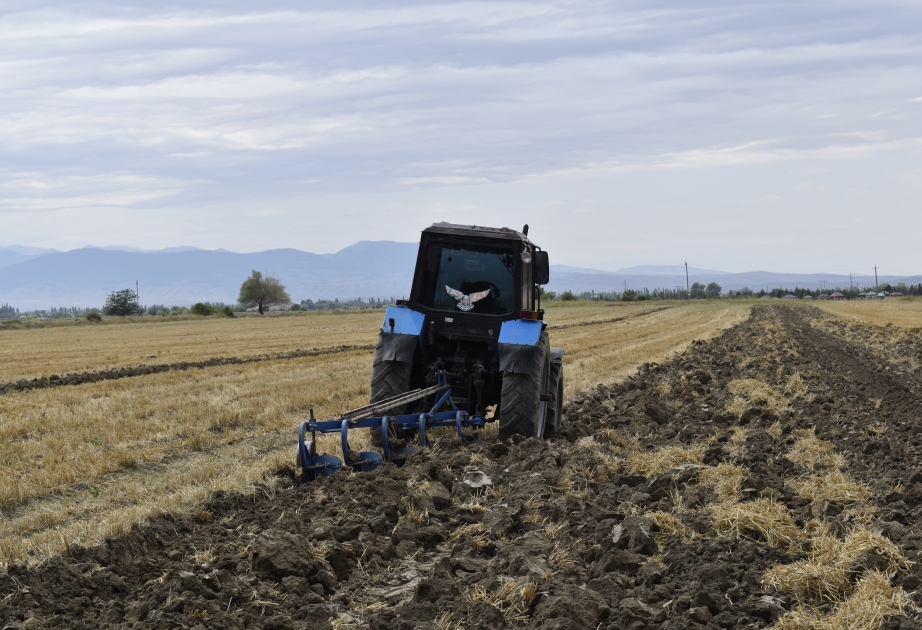 Fermer təsərrüfatları üçün ən azı 6 hektar torpaq vacibdir