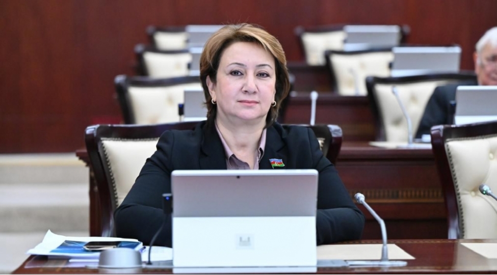 Azərbaycan və Gürcüstan: dostluqdan geosiyasi tərəfdaşlığa