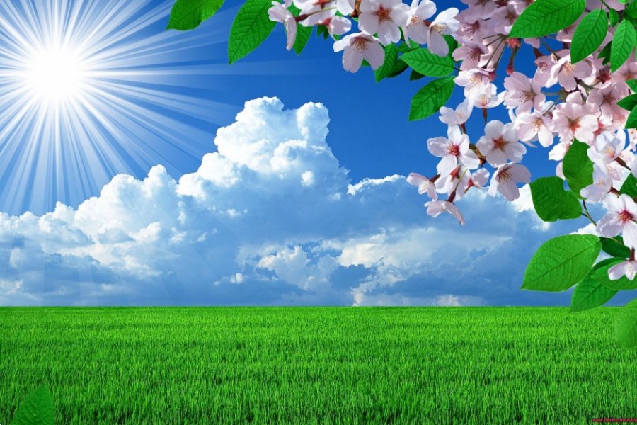 Bu gün 23 dərəcə isti gözlənilir