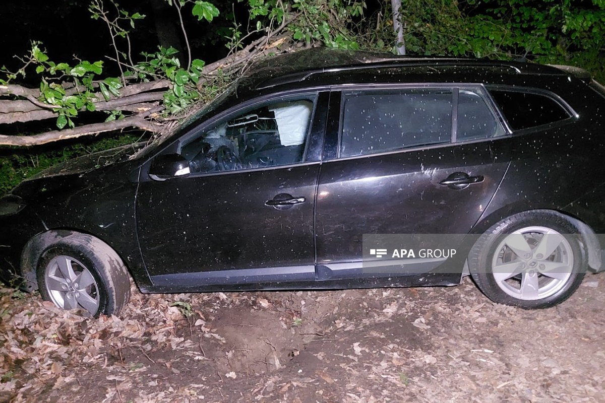 Lənkəranda avtomobil ağaca çırpılıb, ölən var