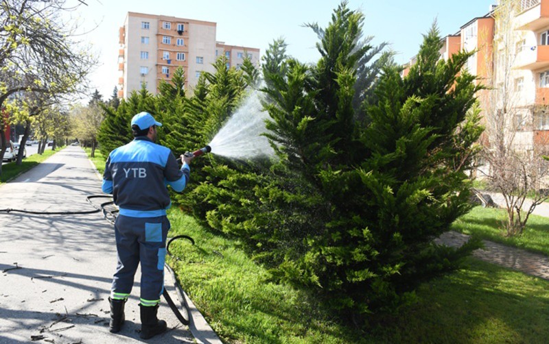 Paytaxtda növbəti İMƏCİLİK