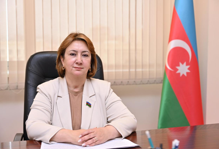 Mehriban Vəliyeva: "Belçika və Niderlandın&nbsp;qətnamələri&nbsp;birtərəfli və qeyri-balanslı yanaşmadır"