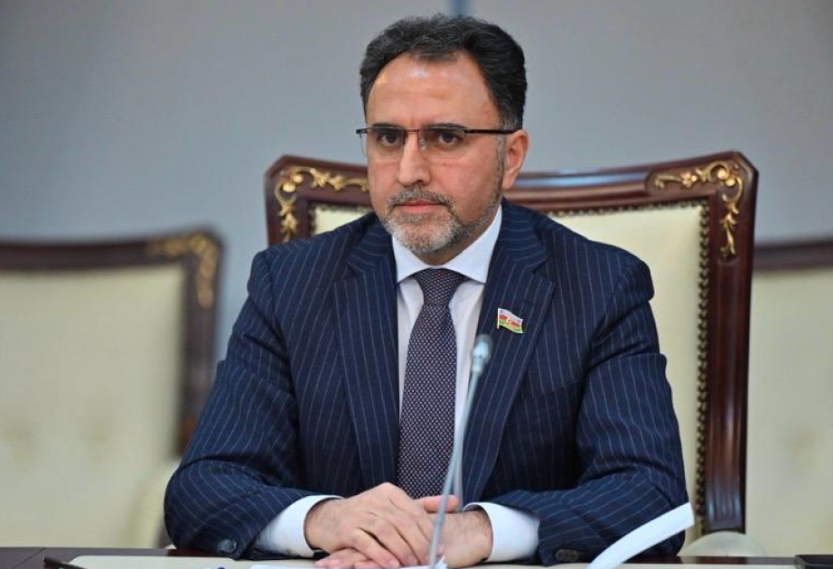 Bu kimi riyakar qətnamələr sülhə mane ola bilməz - Deputat