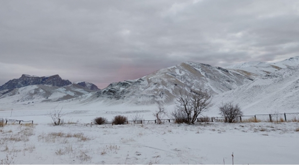Snowing in Dashkasan and Gadabay