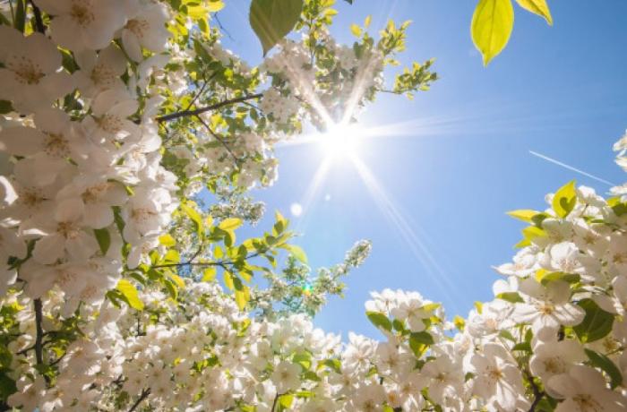 Bazar gününün hava PROQNOZU