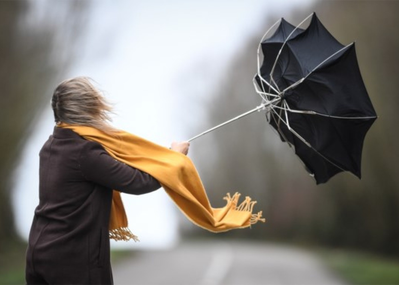 Külək güclənəcək - XƏBƏRDARLIQ