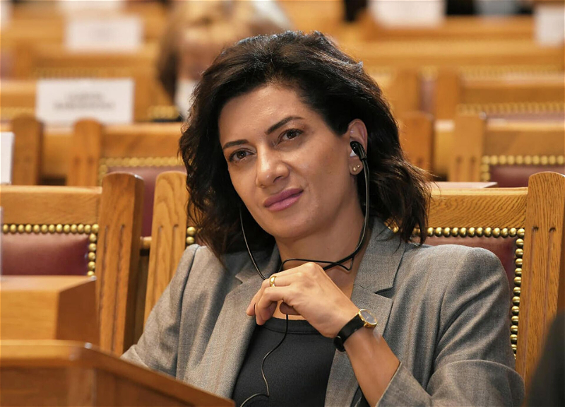 Anna Akopyan məhkəmə şikayəti verəcək