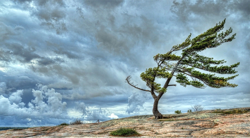 Nazirlik&nbsp;küləkli hava şəraiti ilə əlaqədar əhaliyə müraciət etdi
