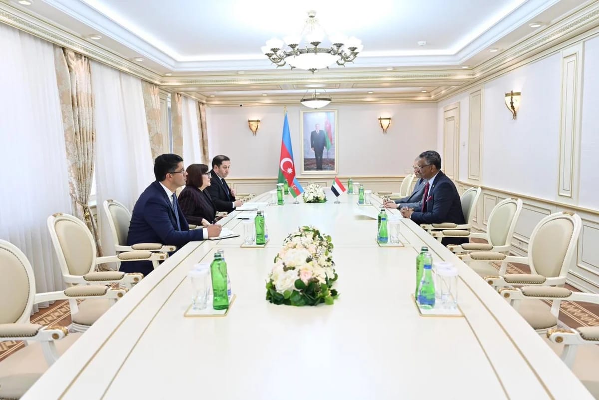 Sahibə Qafarova Sudanın səfiri ilə görüşüb