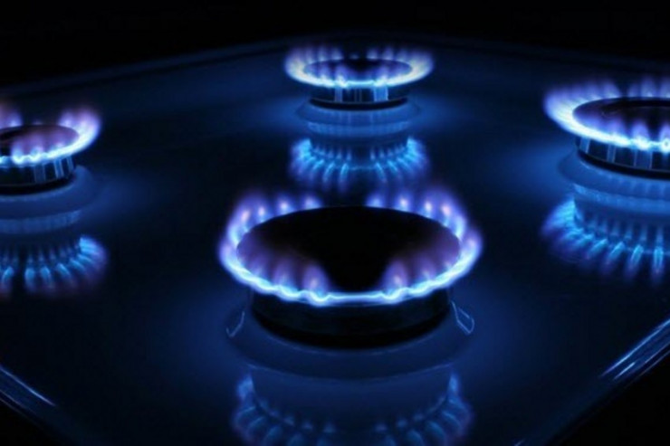 Qazın qiyməti ARTDI