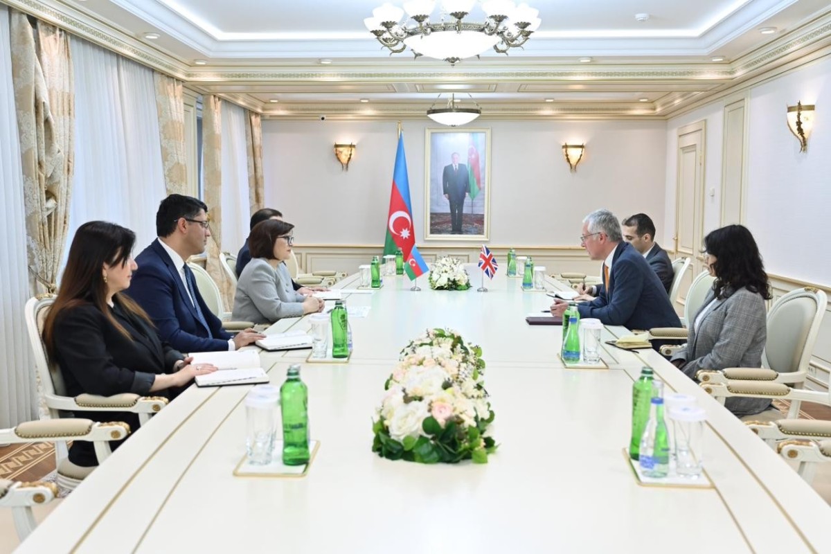 Milli Məclisin sədri Britaniya səfiri ilə görüşüb