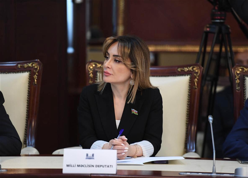 Süni intellekt müraciətlərin daha səmərəli idarəsinə imkan verəcək - DEPUTAT