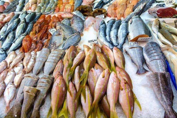 Balıq məhsullarına ƏDV yeni qaydada hesablanacaq&nbsp;