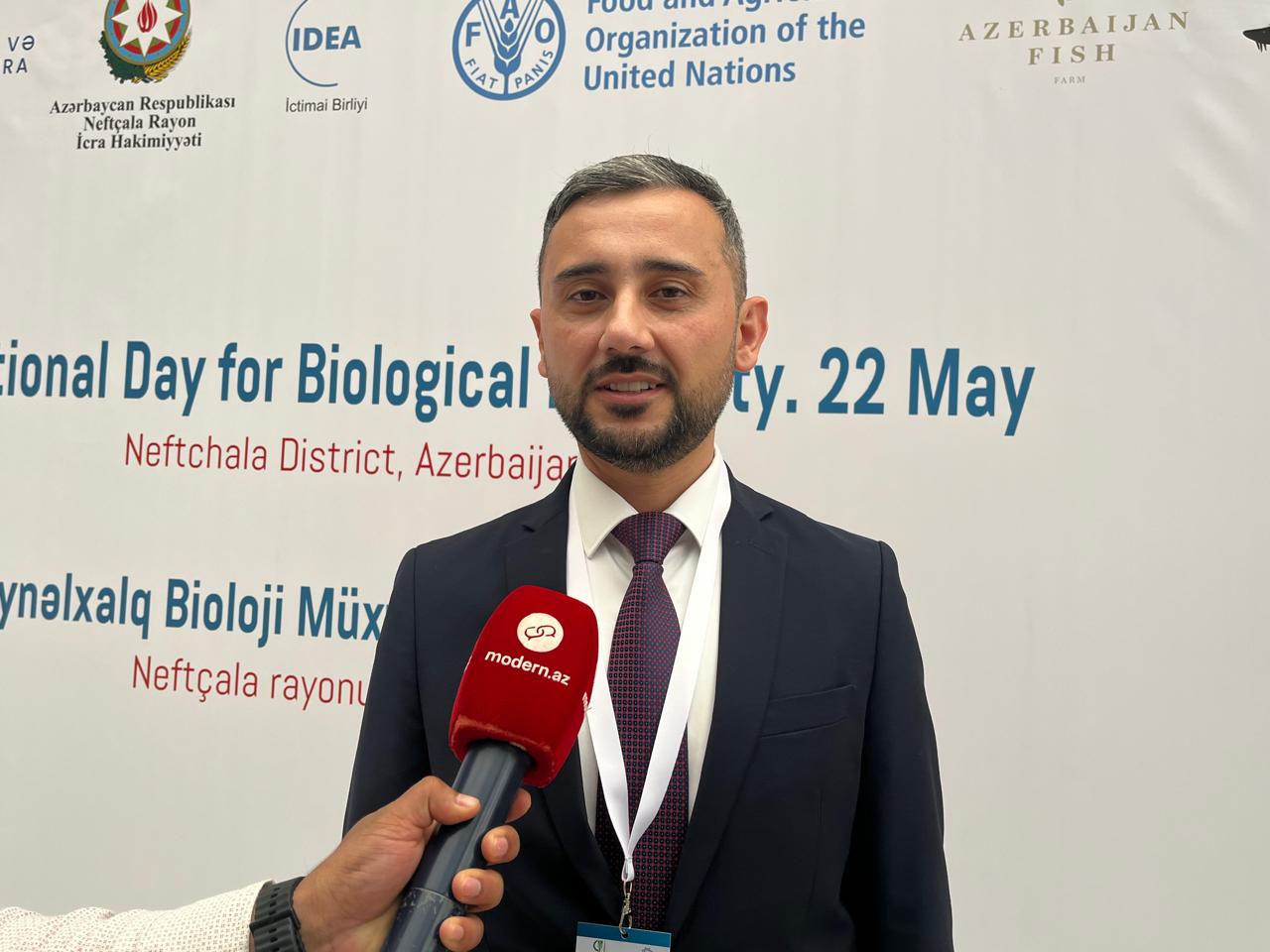 Hazar'a yarım milyon mersin balığı bırakılacak - AÇIKLAMA