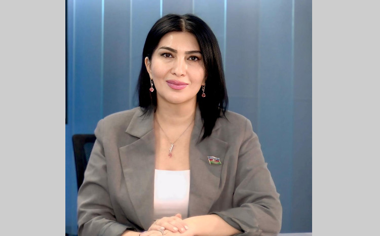 9-cu sinifdən sonra qızların təhsildən yayınması artır - DEPUTAT