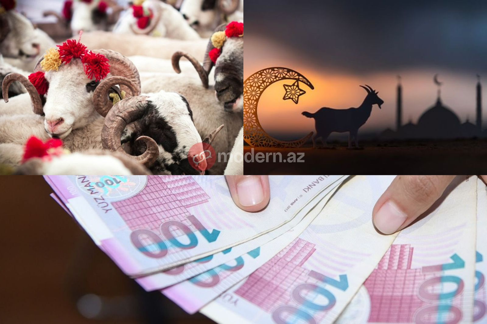 Bayramda süni qiymət artımı doğru deyil! - QMİ-dən ÇAĞIRIŞ