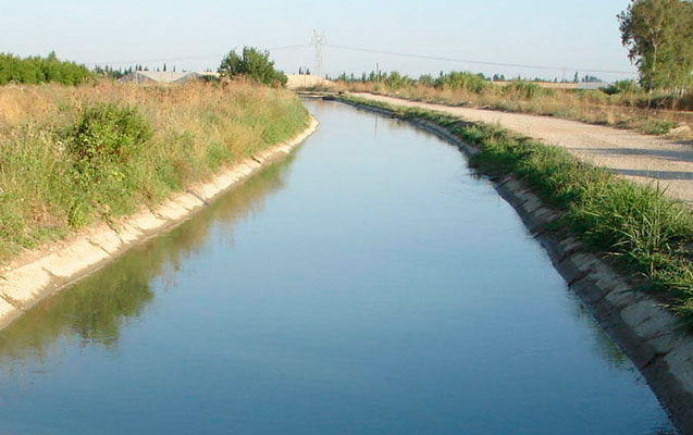 Kanaldan qadın meyiti tapıldı
