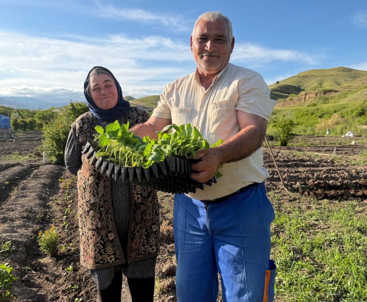 Zəngilan və Cəbrayılda sakinlərə bostan-tərəvəz şitili paylanılıb - FOTO