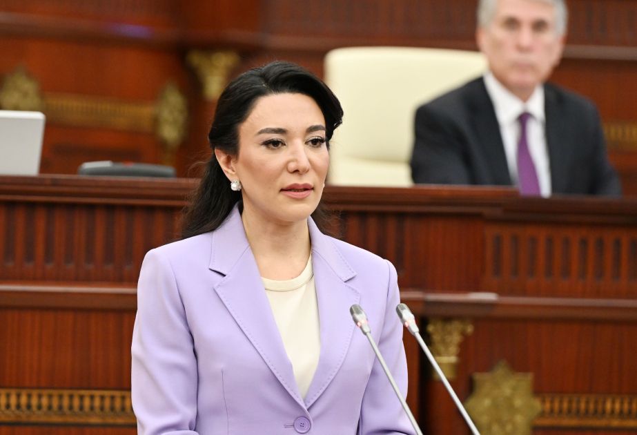 Onlayn oyunlar uşaqlar üçün risk yaradır - Ombudsman