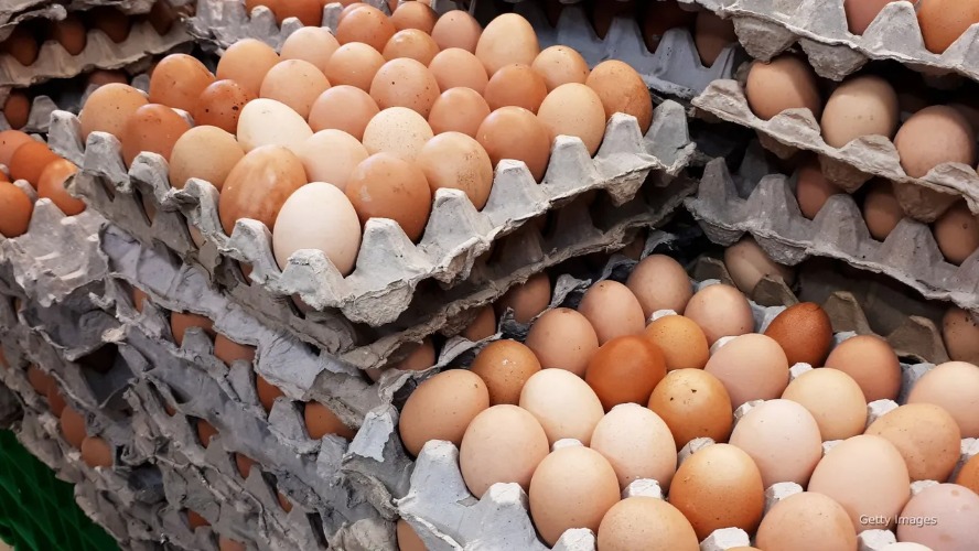 Yumurta niyə kəskin ucuzlaşdı? - AÇIQLAMA