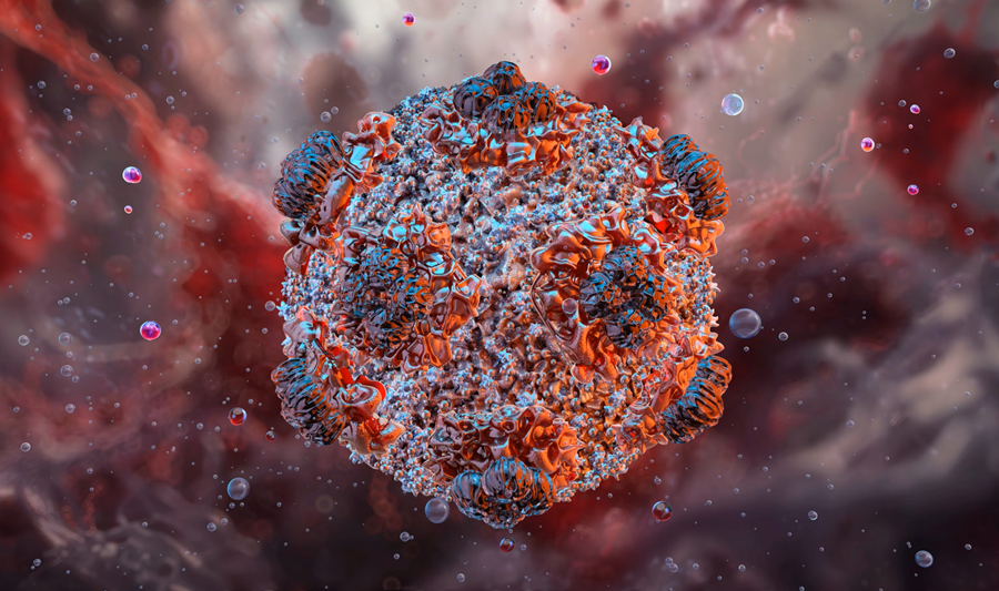 Bu virus tarixə qovuşdu - sonuncu xəstə sağaldı