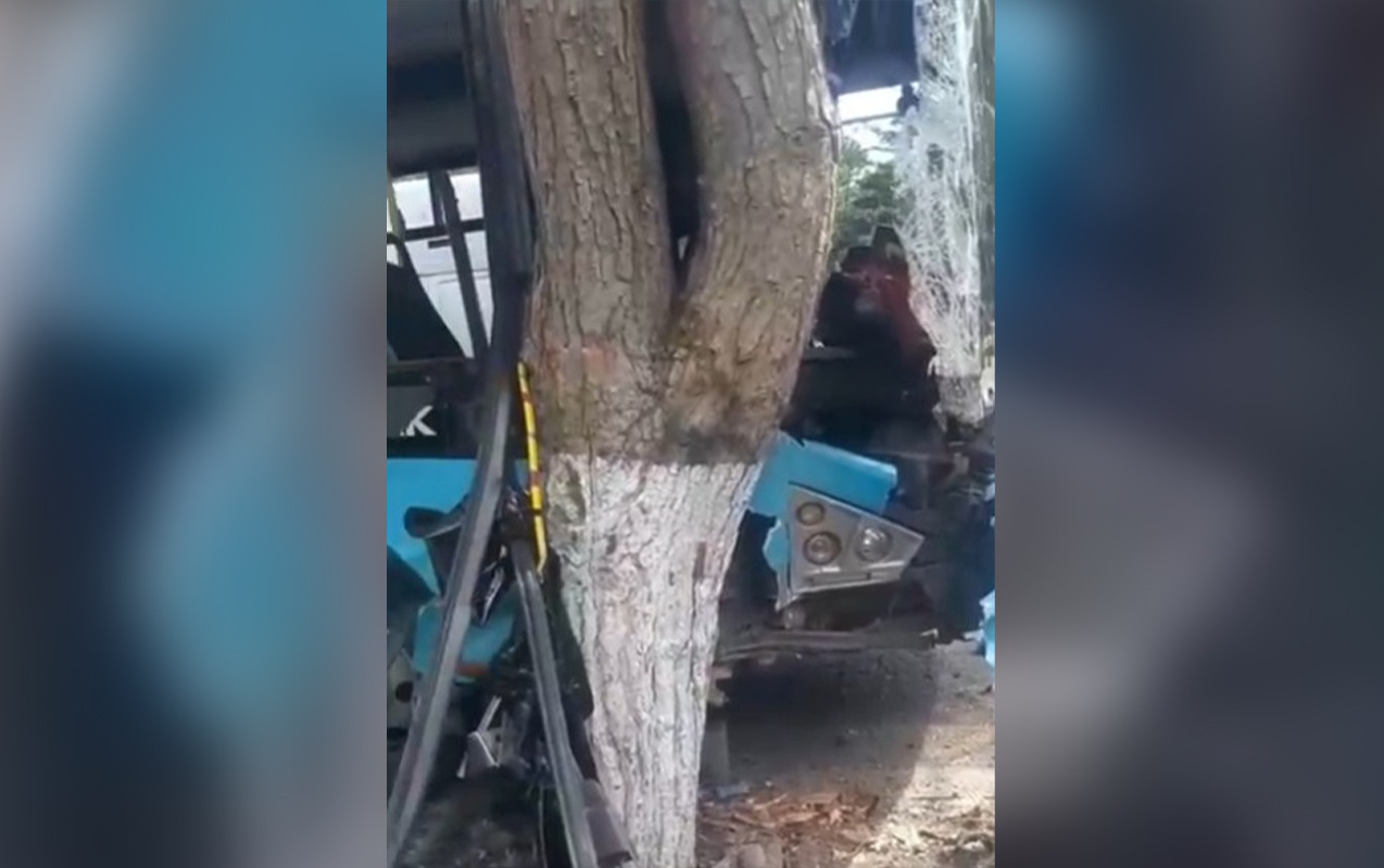 Bakıda avtobus&nbsp;ağaca çırpıldı, 11 nəfər yaralandı - VİDEO