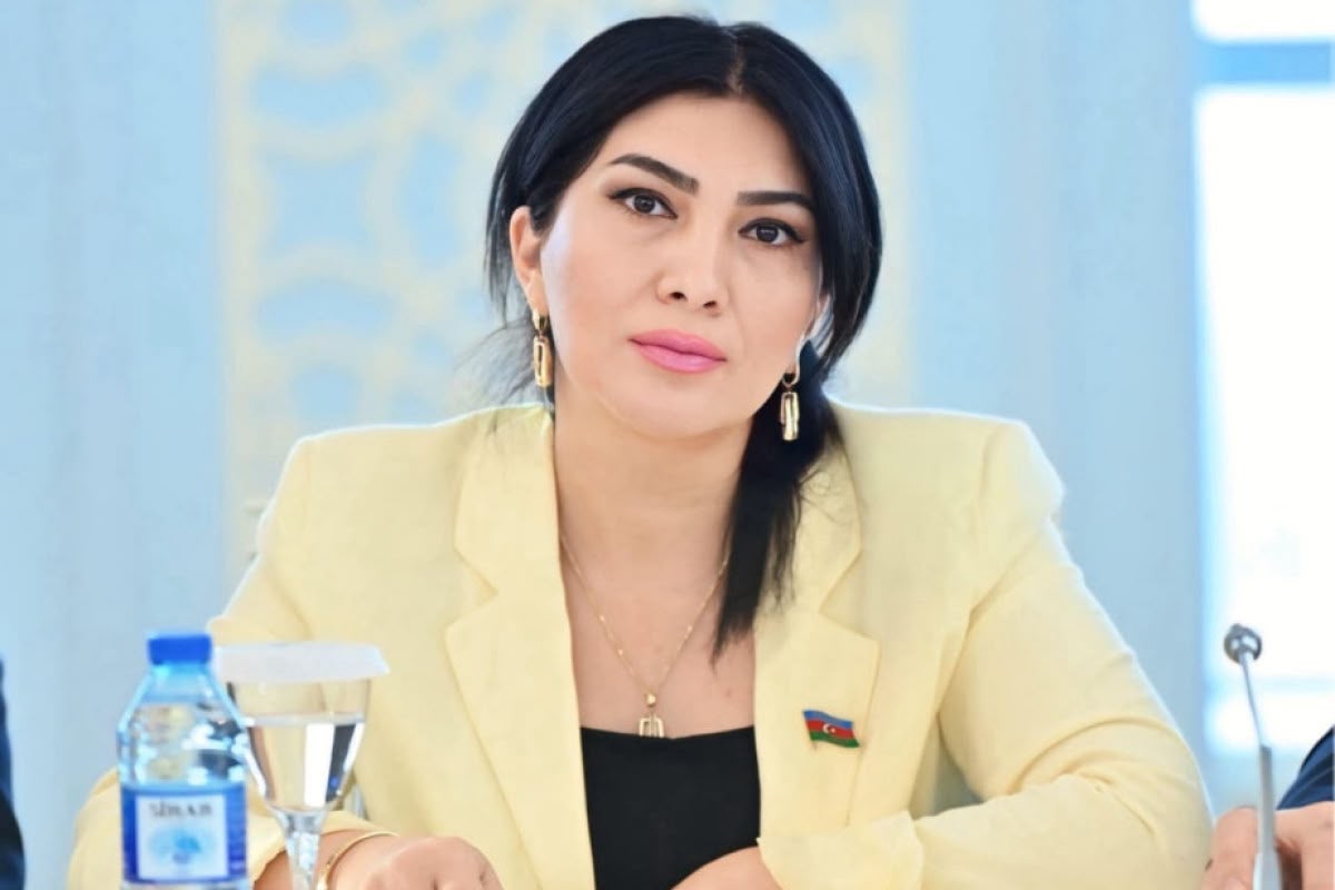 Rəqəmsal azadlıqla təhlükəsizlik&nbsp;balansı mühüm çağırışdır