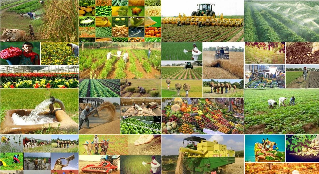 Наши самые продуктивные районы - ПОЛНЫЙ СПИСОК