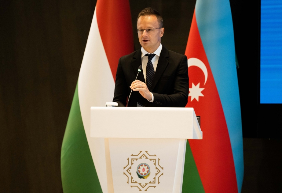 Azərbaycanın dostu barədə araşdırma başladı