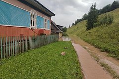 Flood in Russia, houses are under water
