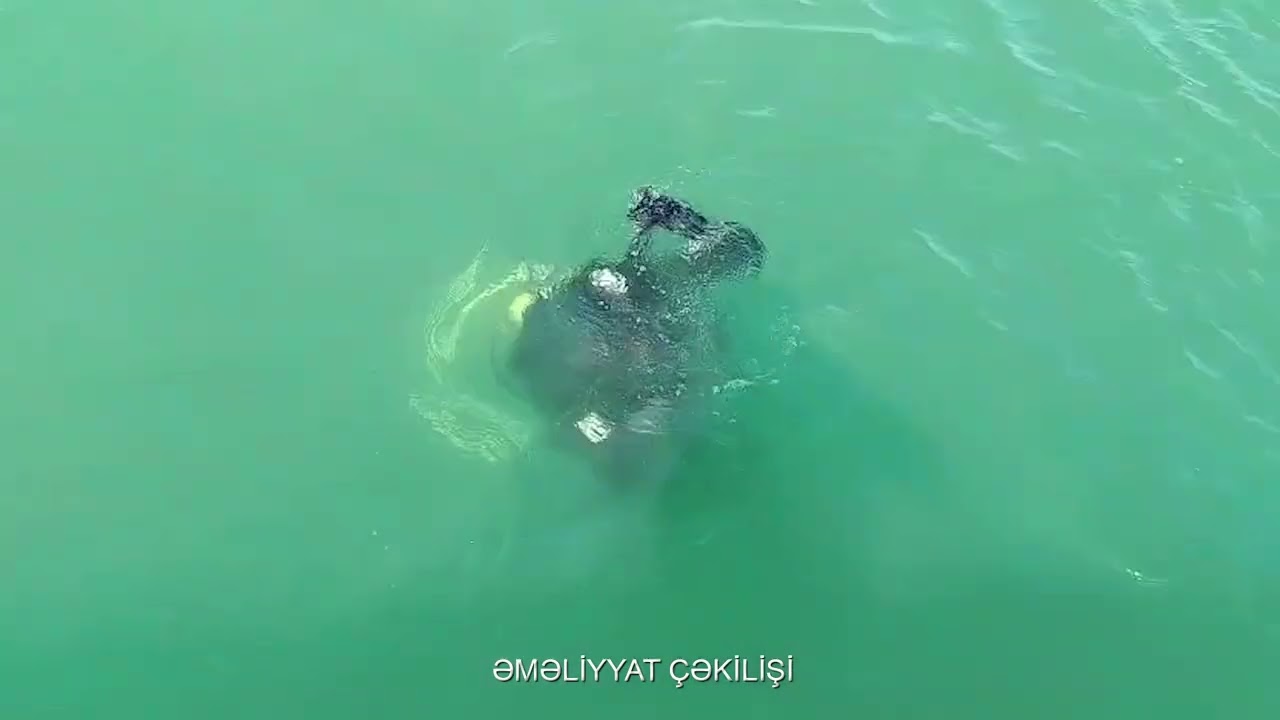 Xəzərdə batan 3 nəfərin axtarışları davam edir - VİDEO