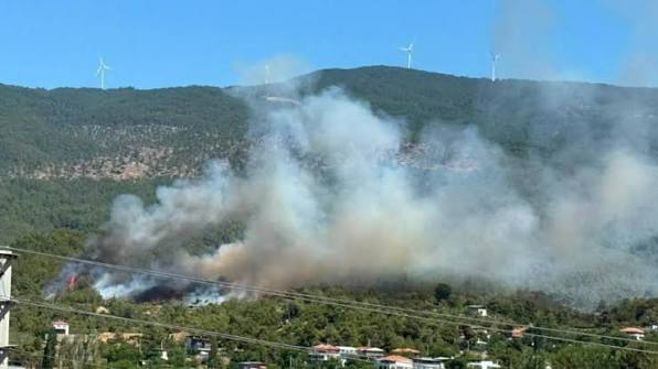 Türkiye'de orman yangınlarıyla ilgili 6 kişi tutuklandı