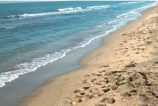 Sabah&nbsp;çimərliklərində gözlənilən hava şəraiti açıqlanıb