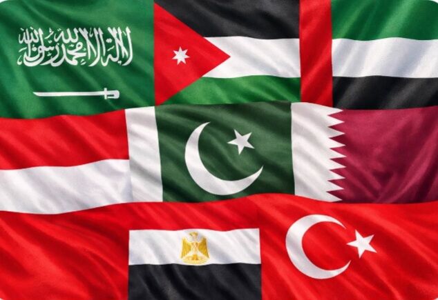 Eight Muslim countries called on the UN: Israel must be punished!