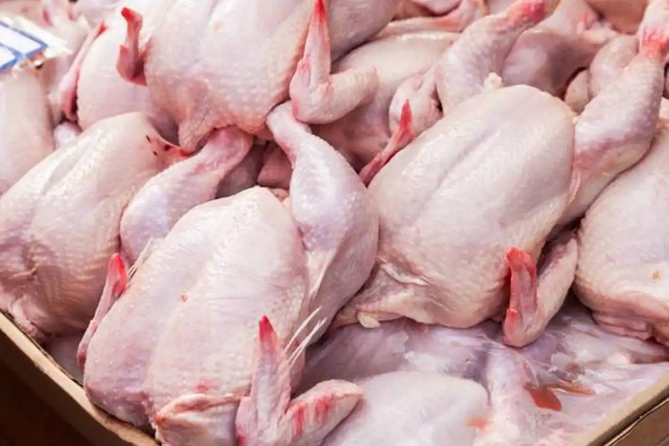 Azərbaycanda toyuq əti istehsalı kəskin artıb - Necə olacaq?