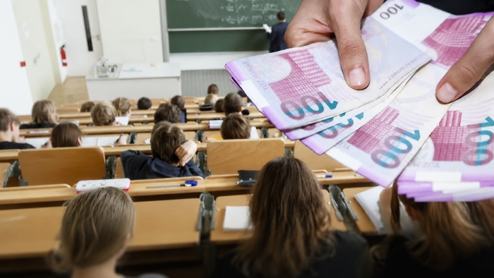 Even if admitted to a paid university, these individuals will NOT PAY tuition fees