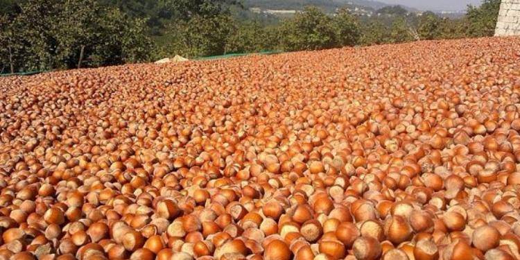 Məhsul bol, qiymət aşağı&hellip;