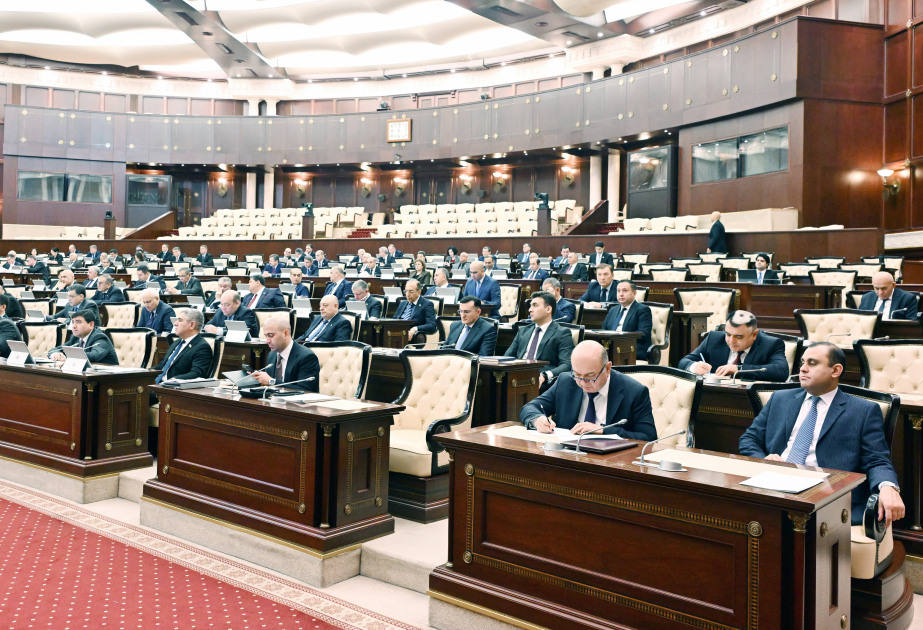 Rezidentura, sosial media və sahibkarlıq parlamentin gündəliyində 