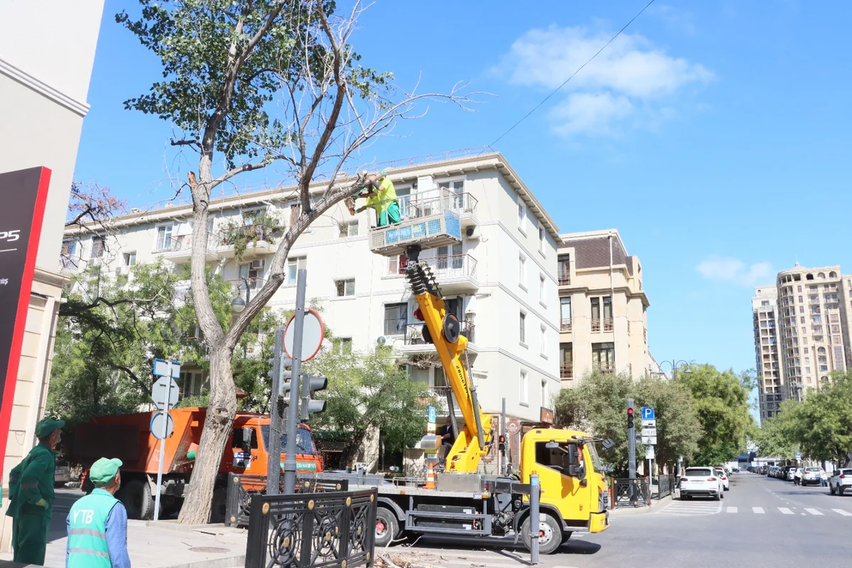 Bakıda küləyə qarşı qabaqlayıcı tədbirlər görülür