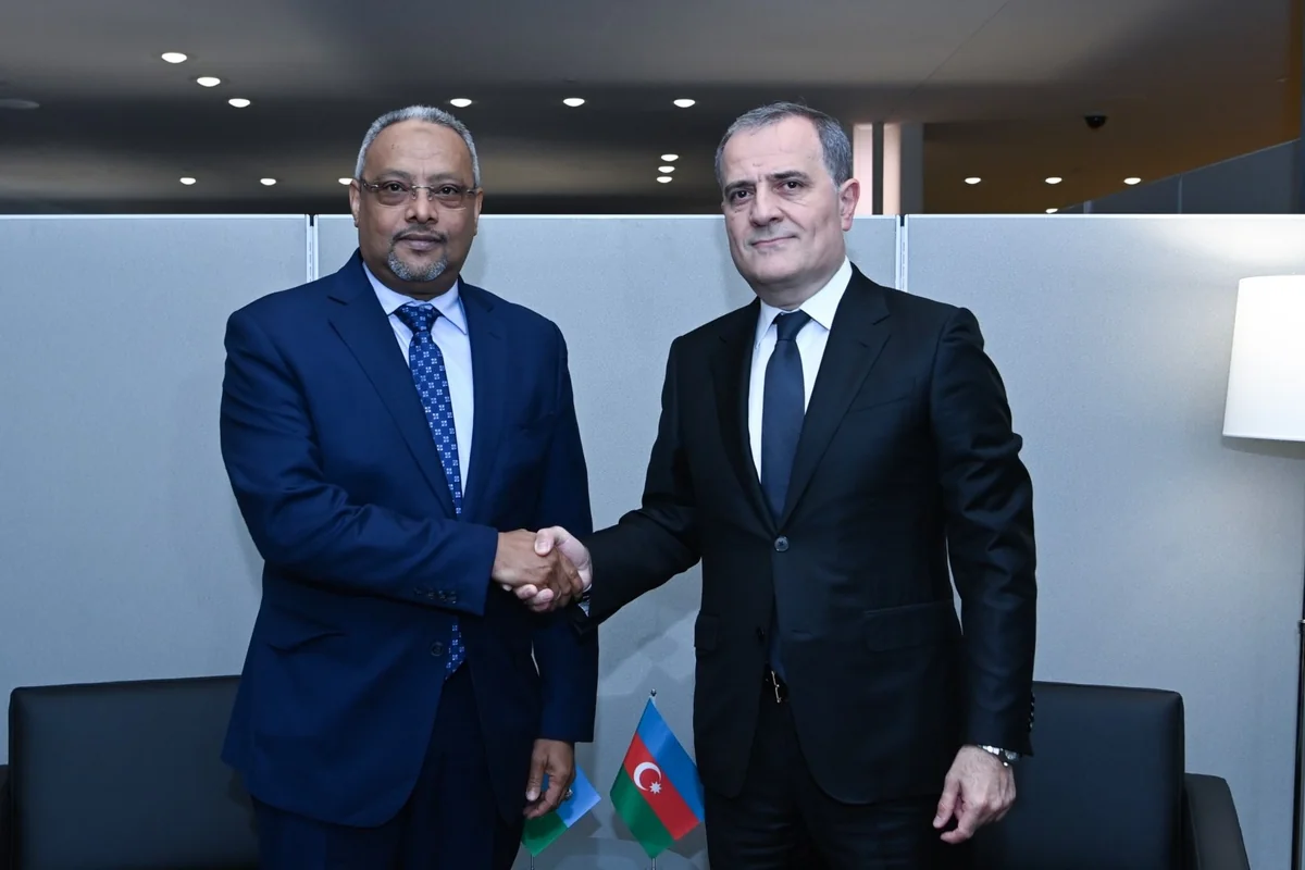 Ceyhun Bayramov Cibuti XİN başçısı ilə ikitərəfli münasibətləri müzakirə edib